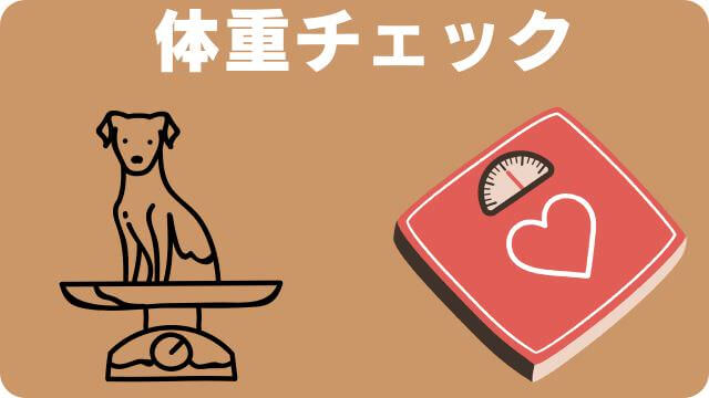 老犬がカリカリご飯を食べない