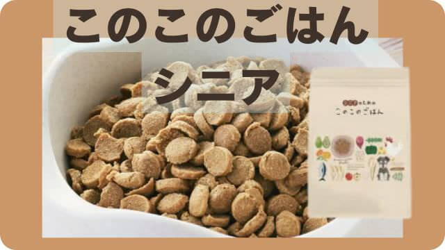 老犬がカリカリご飯を食べない