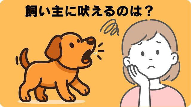 犬の吠える行飼い主