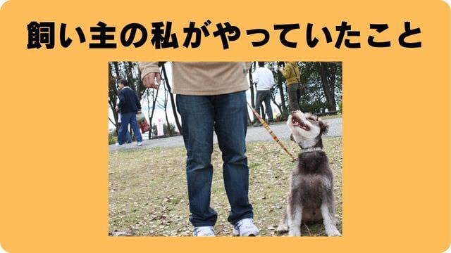犬の吠える行飼い主