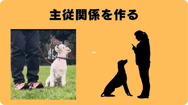 犬の吠える行飼い主