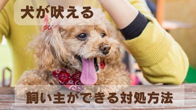 犬の吠える行飼い主