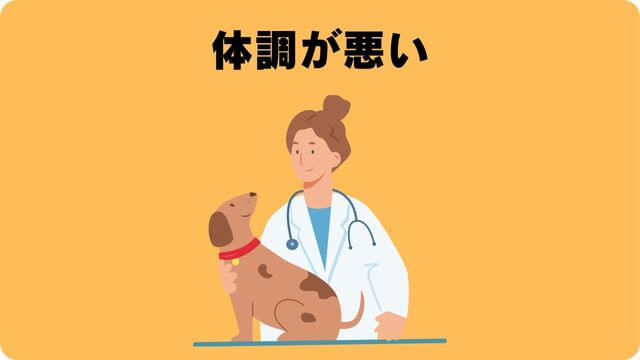 犬の吠える行飼い主