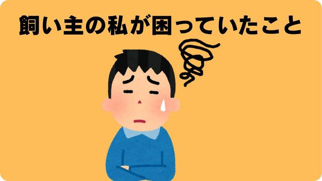 犬の吠える行飼い主