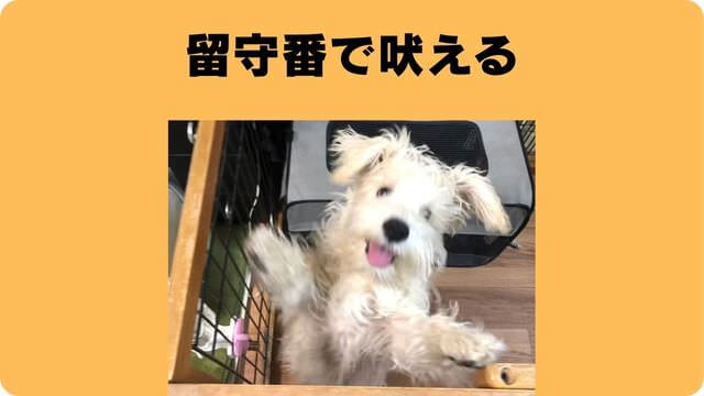 犬の吠える行飼い主