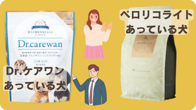 ドクターケアワンとペロリコライト