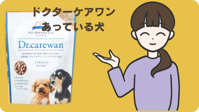 ドクターケアワンとペロリコライト