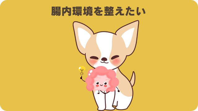 ドクターケアワンとペロリコライト