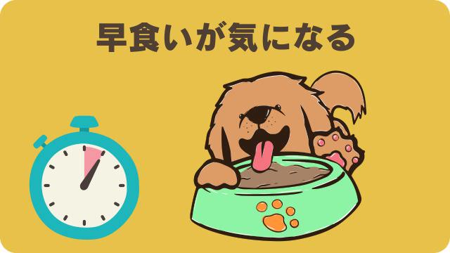 ドクターケアワンとペロリコライト
