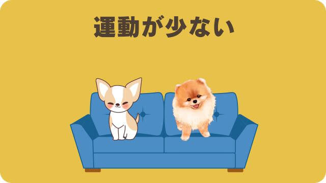 ドクターケアワンとペロリコライト