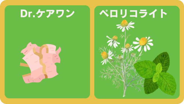ドクターケアワンとペロリコライト