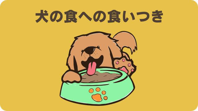 ドクターケアワンとエッセンシャルドッグフード