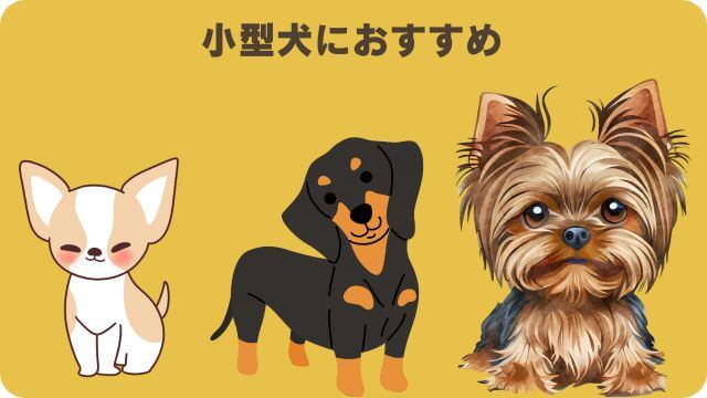 ドクターケアワンとエッセンシャルドッグフード