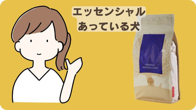 ドクターケアワンとエッセンシャルドッグフード