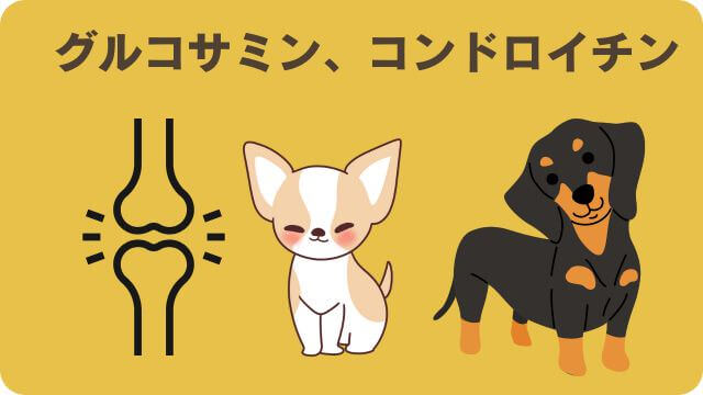 ドクターケアワンとエッセンシャルドッグフード
