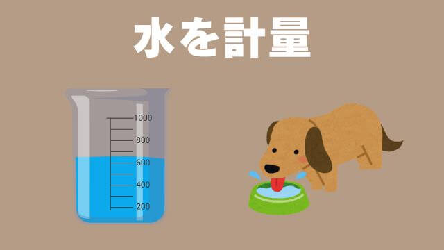 老犬が水をよく飲む