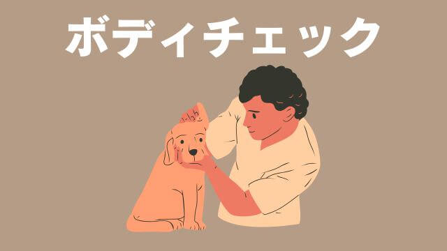 老犬が水をよく飲む