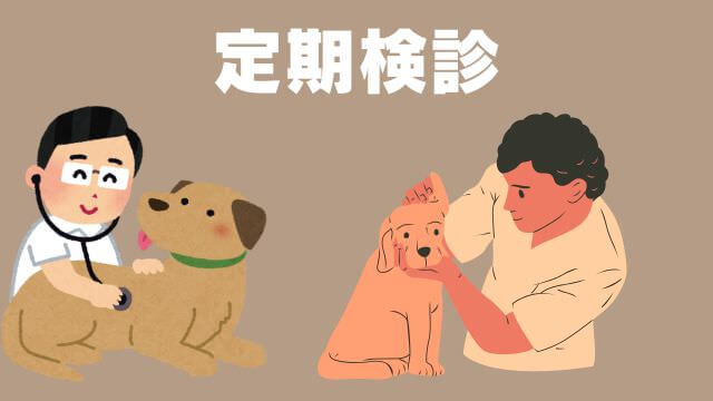 老犬が水をよく飲む