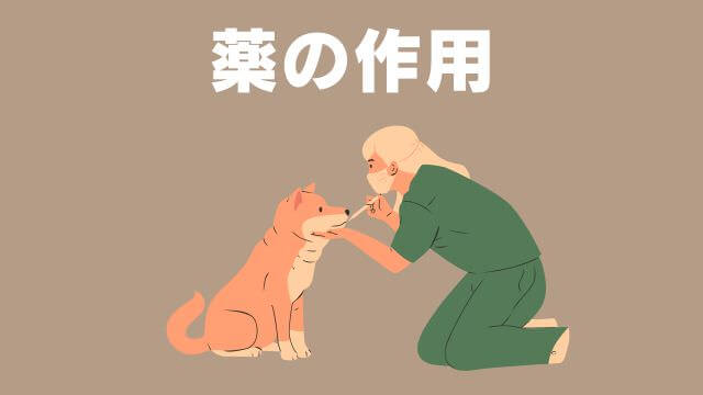 老犬が水をよく飲む