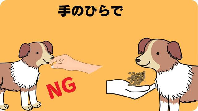 犬が手からしかご飯を食べない