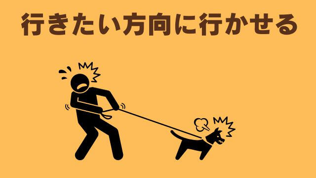 犬との主従関係で間違い