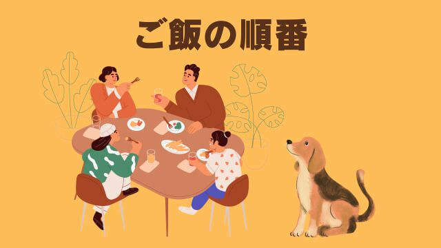 犬との主従関係で間違い