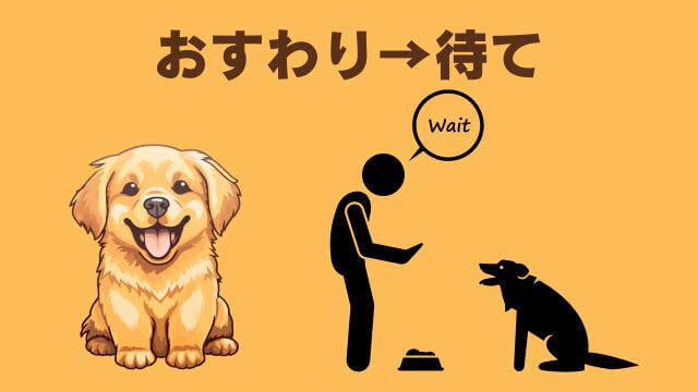 犬との主従関係で間違い