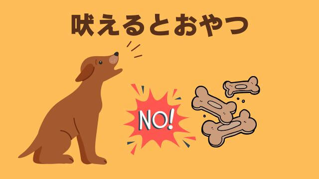 犬との主従関係で間違い