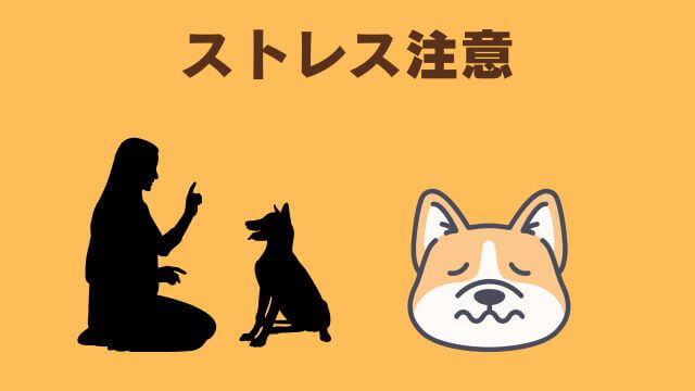 犬との主従関係で間違い