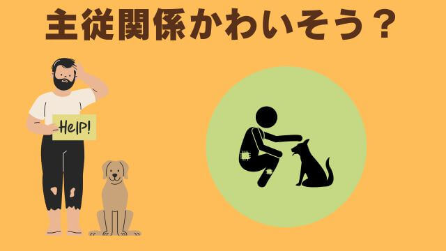 犬との主従関係で間違い