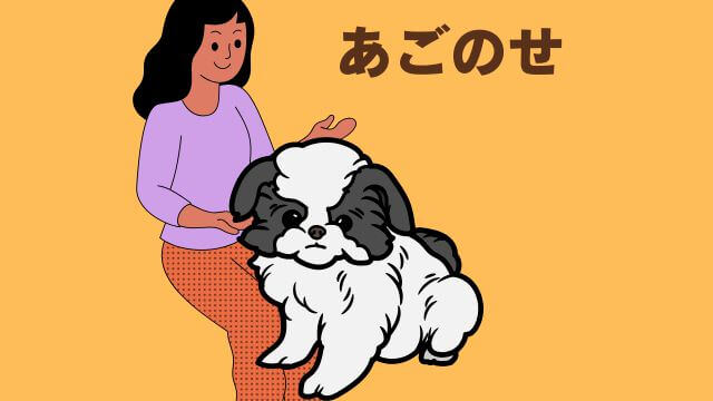 犬との主従関係で間違い