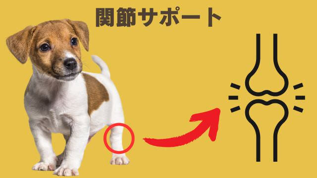フェイブワンドッグフード