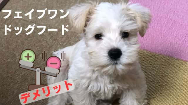 フェイブワンドッグフード