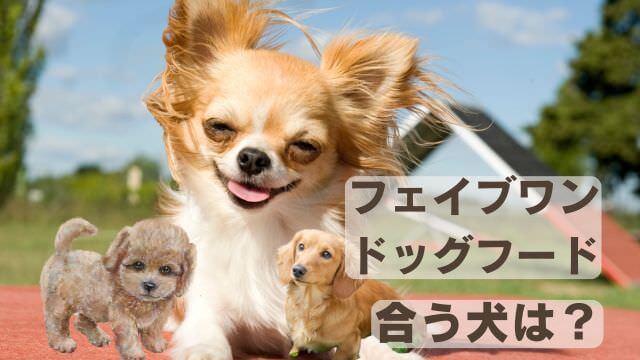 フェイブワンドッグフード