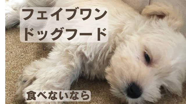 フェイブワンドッグフード