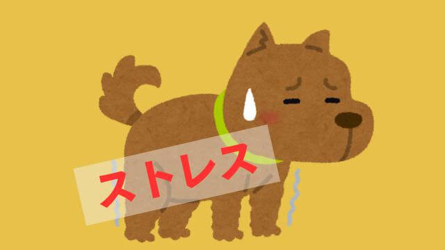 フェイブワンドッグフード