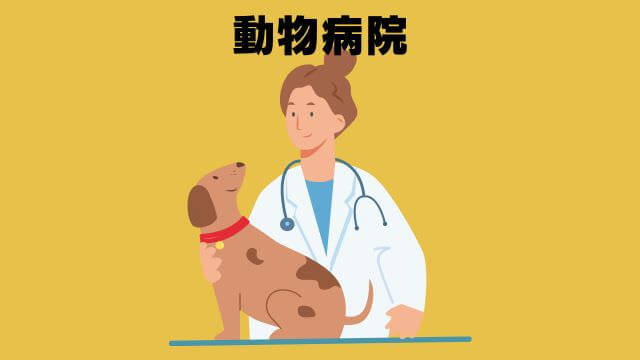 フェイブワンドッグフード