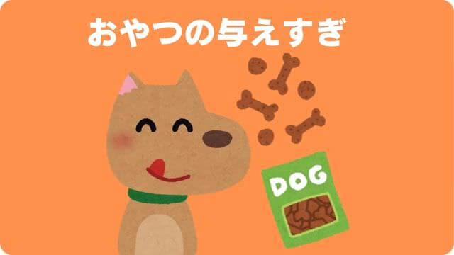 犬がご飯が食べないのに元気
