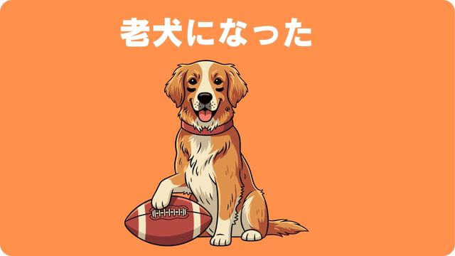 犬がご飯が食べないのに元気