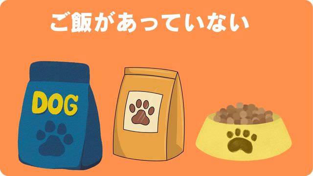 犬がご飯が食べないのに元気