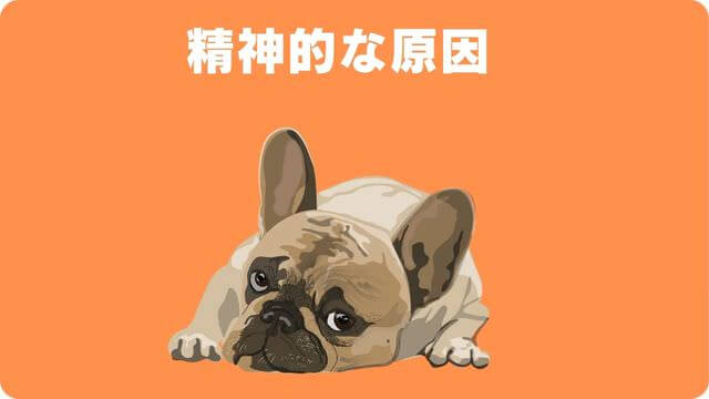 犬がご飯が食べないのに元気