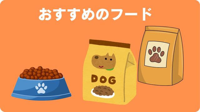 犬がご飯が食べないのに元気