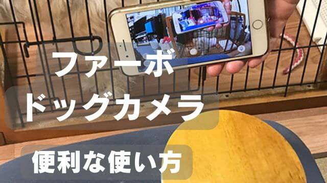 furboドッグカメラ
