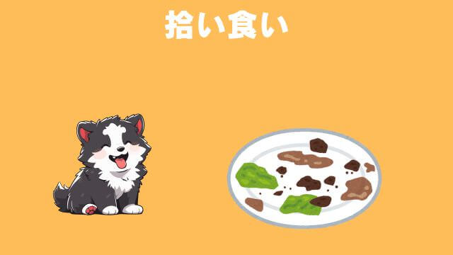 furboドッグカメラ