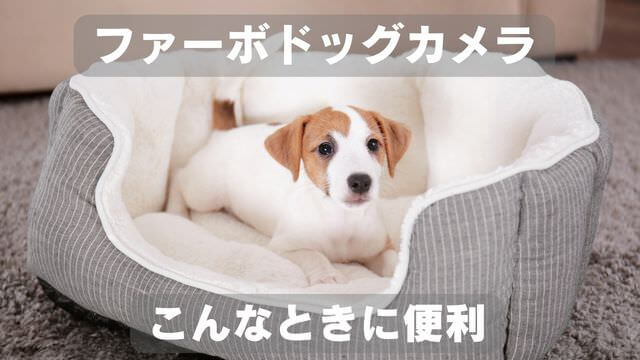 furboドッグカメラ