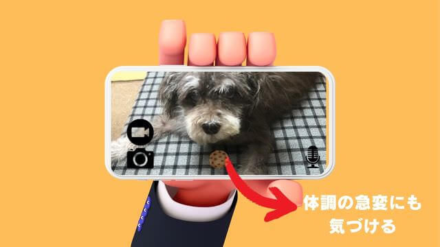 furboドッグカメラ