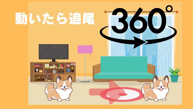 furboドッグカメラ