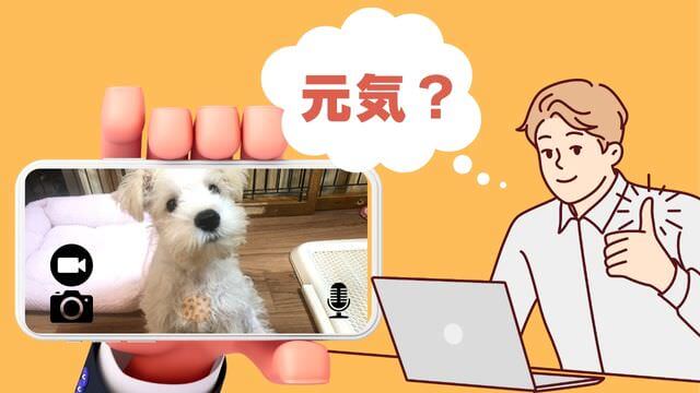 furboドッグカメラ