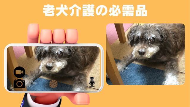 furboドッグカメラ