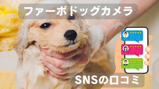 furboドッグカメラ